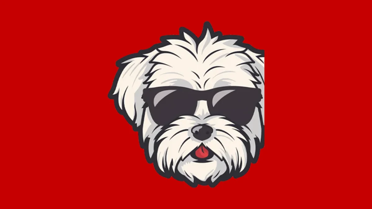 Based Teddy mascot, white maltese in sunglasses on brand red