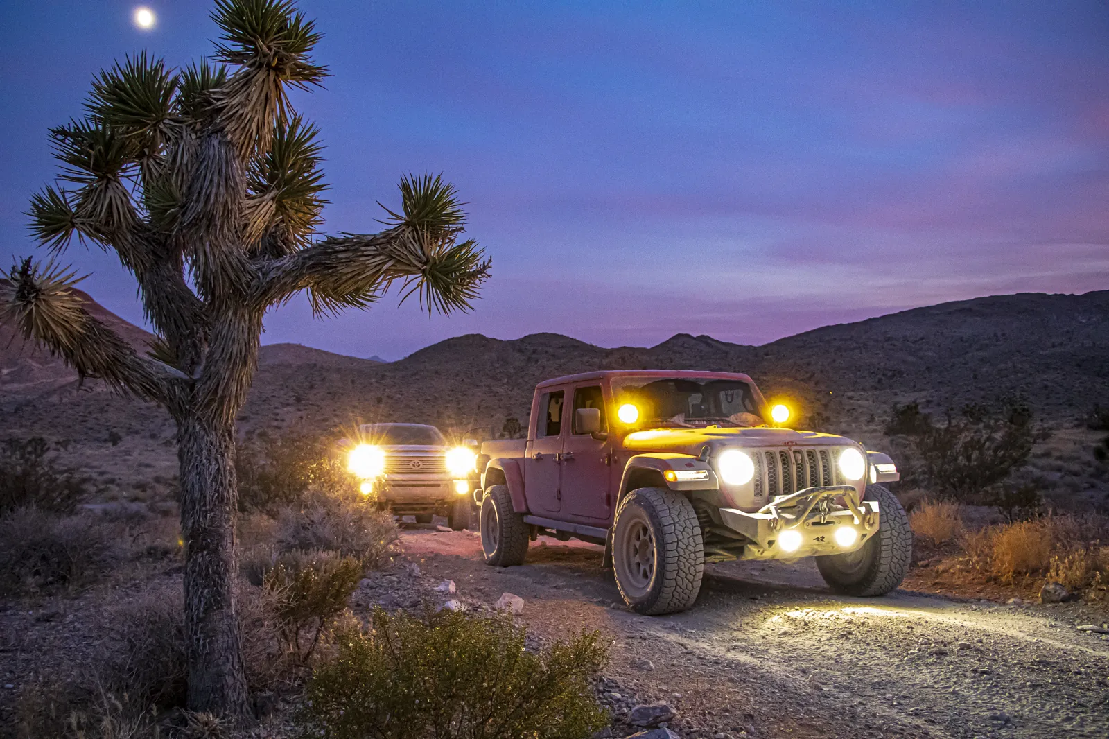Joshua tree at twilight with Jeep KC lights illuminated against deep blue dusk and rising moon