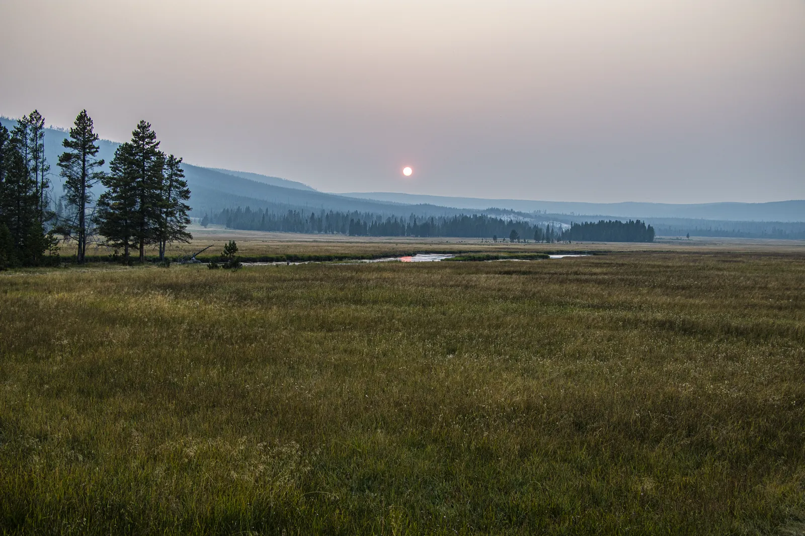 Yellowstone meadow at dusk with orange sun filtered through wildfire smoke, distant tree line and water